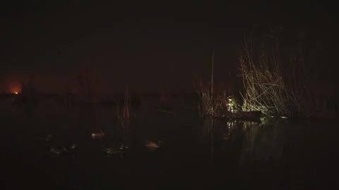Duck hunter on a boat navigating a marsh at night Stock Footage 330565730