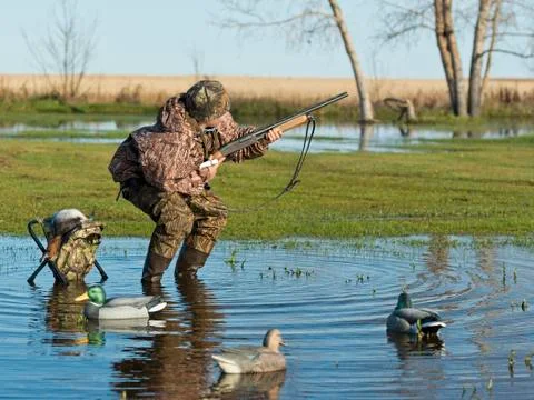 Duck Hunter Stock Photos