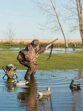 Duck Hunter Stock Photos