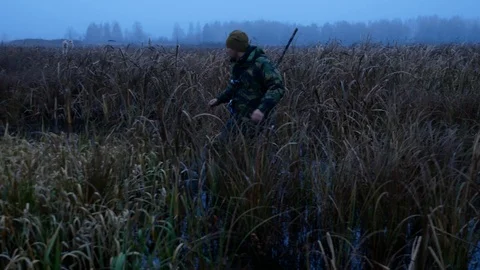 Duck hunter with rifle looking for shooted bird through thich water grass Stock Footage 100628863
