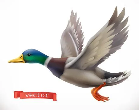 Duck. Hunting 3d vector icon Stock Illustration