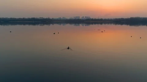 Duck hunting. Ducks on a river after golden sunset Stock Footage 127594776