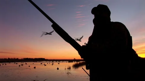 Duck Hunting Shotgun Stock Footage