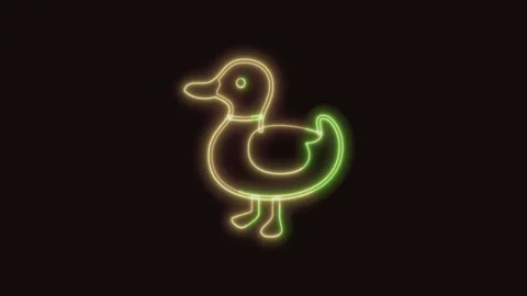 Duck Icon Neon Seamless Loop 4K (Black Background) Video stock 310357735
