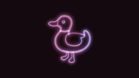 Duck Icon Neon Seamless Loop with Black Background 4K Stock Footage 311301636