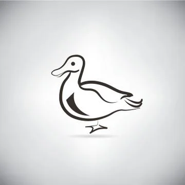 Duck Stock Illustration