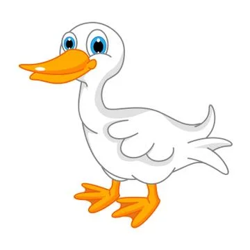 Duck Illustrazione stock