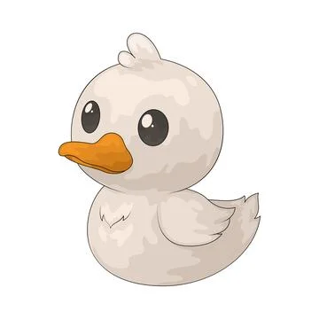 Duck illustration 库存插图