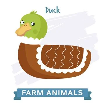 Duck isolated, vector. Stock Illustration