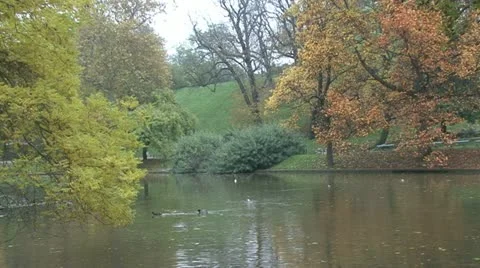 Duck lake Stock Footage 18145923