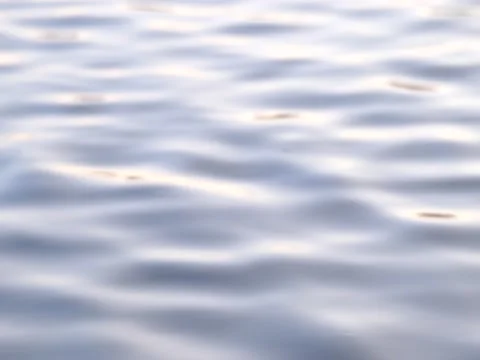 Duck in lake 스톡 동영상 222969562