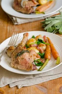 Duck leg Stock Photos