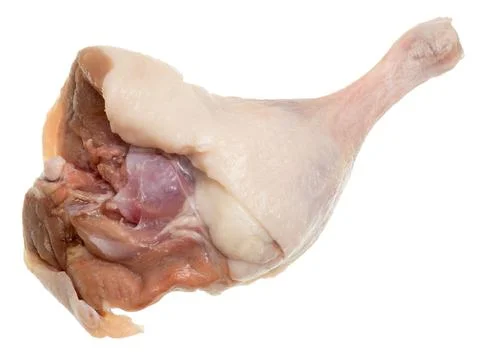 Duck leg Stock Photos