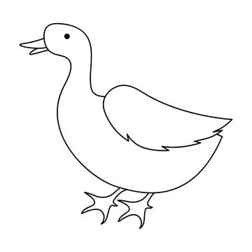 Duck logo vector design Stock Illustration