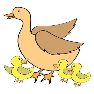 Duck logo vector design Stock Illustration