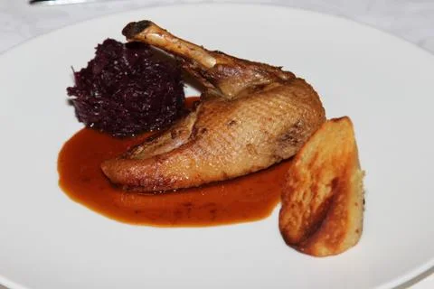Duck meal 스톡 사진