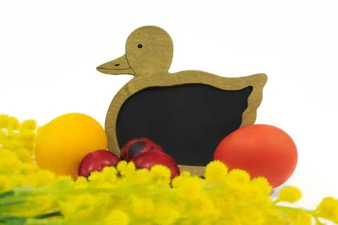 Duck note board with painted yellow, red eggs and branch of yellow mimosa Foto stock