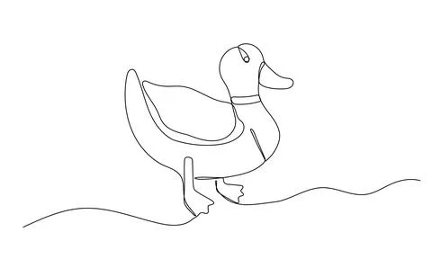 Duck one continuous line illustration. Hand drawn doodle sketch of farm bird  Stock Illustration