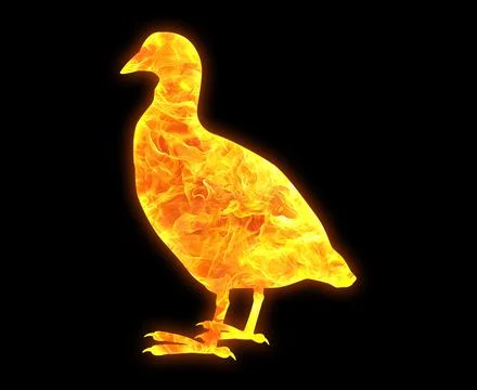 Duck outline with a bright fire pattern isolated on a black background Illustrazione stock