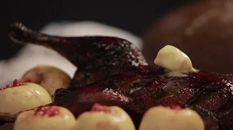 Duck in the oven Stock Footage 49314487