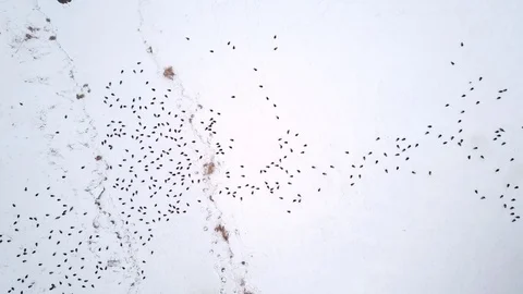 Brook Does Brook Stock Videos – Royalty-Free HD & 4K Videos | Pond5