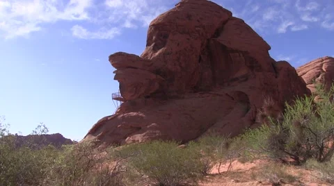 The duck Pharaoh Video stock 50700211