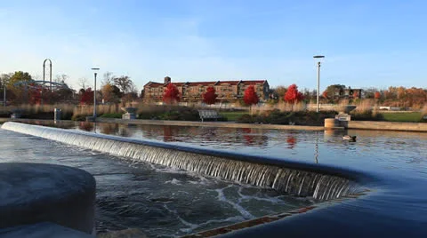 Duck Pond Stock Footage 23338331