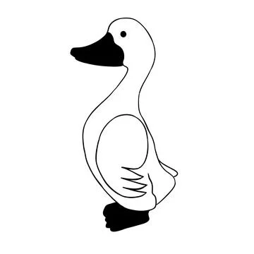 Duck in profile ,black beak Stock Illustration