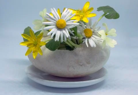 Duck shell as vase for a bouquet of spring flowers. Stock Photos