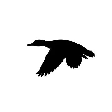 Duck Silhouette Flat Icon Stock Illustration