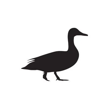 Duck Silhouette Stock Illustration
