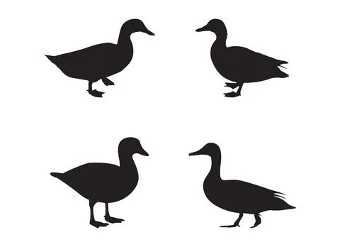 Duck Silhouette Stock Illustration