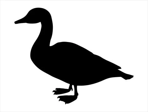 Duck silhouette vector art Stock Illustration