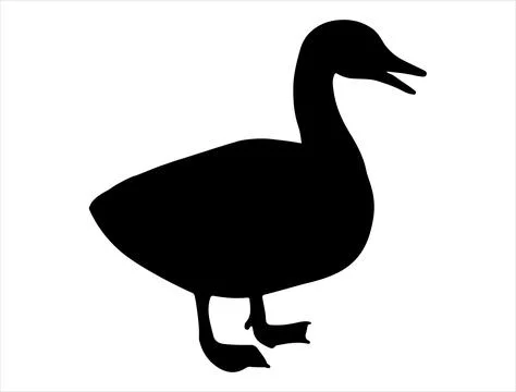 Duck silhouette vector art Stock Illustration