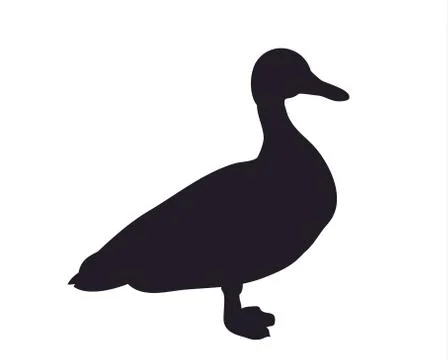 Duck silhouette. vector Stock-Illustration