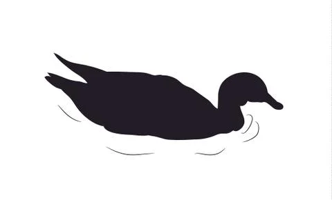 Duck silhouette. vector Stock Illustration