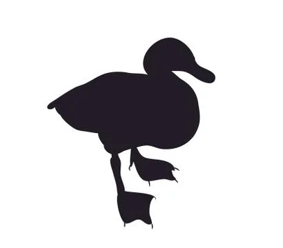 Duck silhouette. vector Stock Illustration