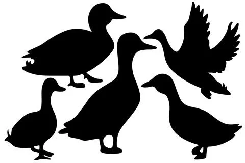 Duck silhouette vector for websites, graphics related artwork Stock Illustration