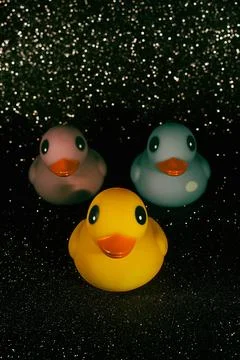 Duck in Space Stock Photos