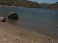Duck swims by Footage