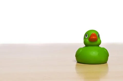 Duck on a table over white Stock Photos