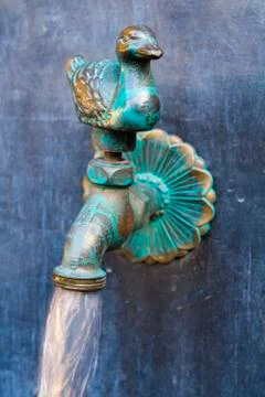 Duck tap Stock Photos