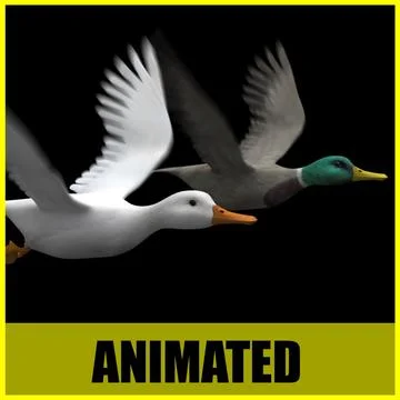 Duck (Two different textures) - Animated 3D Model