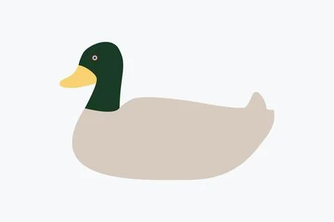 Duck Vector Art illustration Stock Illustration