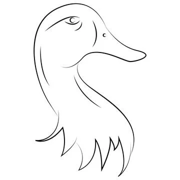 Duck vector illustration design Stock Illustration