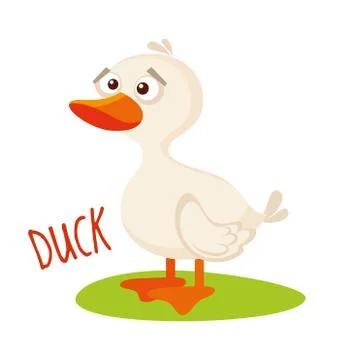 Duck Vector illustration isolated Stock Illustration