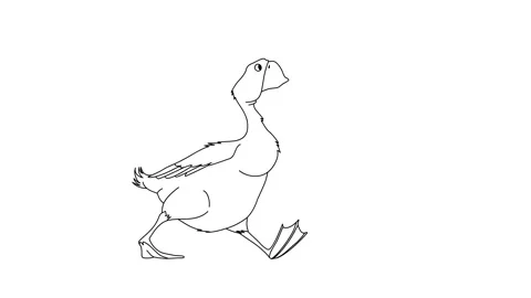 Duck Walking Animation, Cartoon Characte... | Stock Video | Pond5