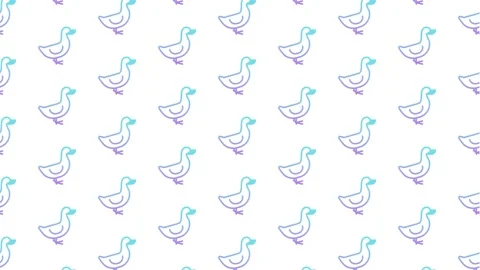 Duck White Animated Loop Background 4K | Stock Video | Pond5