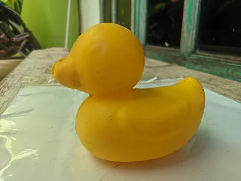 DUCK WITHOUT LEGS Foto stock