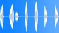 DuckbilledDinoCalls6XSound Effect